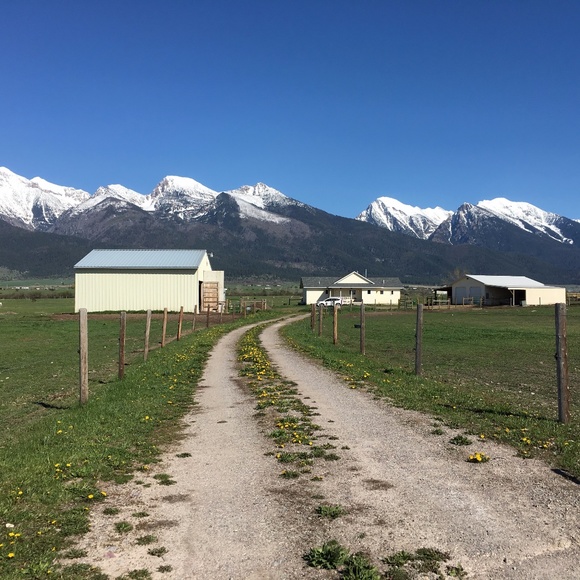 Meet your Posher, Ruth - Picture 2 of 16